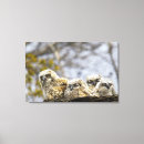 Suche nach anfang leinwandbilder Horizontal