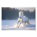 Suche nach pferdemalerei poster Pferdeposter