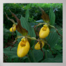 Suche nach ihre dame poster Natur