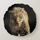 Suche nach leopard kissen Raubtier