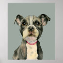 Suche nach bulldogge kunst poster Welpe