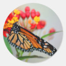 Suche nach schmetterling und blume aufkleber Schön