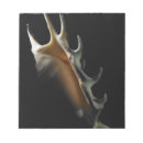 Suche nach schwarzer hintergrund notizblock Single objekt