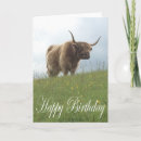 Suche nach highland cow karten Landschaft