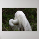 Suche nach vogelplakat poster Natur