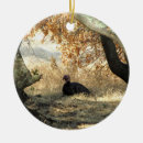 Suche nach wildvogel ornamente Wild lebende tiere