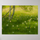 Suche nach schöne malerei poster Natur