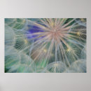 Suche nach macro poster Nature