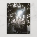 Suche nach dschungel postkarten Blatt