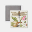 Suche nach insekten magnete Blumen
