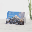 Suche nach schnee bedeckte baum Fotografie