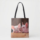 Suche nach ferkel taschen Baby