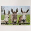 Suche nach cute puzzle Rätsel