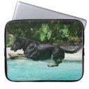 Suche nach schäferhund laptop schutzhüllen Bob und pam langrish