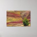 Suche nach immergrün leinwandbilder Landschaft