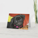Suche nach rosa mops karten Rot