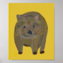 Suche nach wombats poster Australie