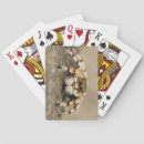 Suche nach spinne spielkarten Spielen