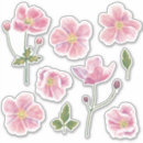 Suche nach japanische blume Natur