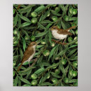 Suche nach olivenbaum poster Botanisch