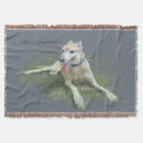 Suche nach windhunde decken Rettung