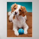 Suche nach tennisball poster Haustier