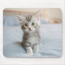 Suche nach baby waschbär mousepads Niedlich