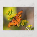 Suche nach goldrute postkarten Naturfotografie