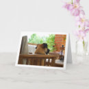 Suche nach hundebild karten Hundekarten