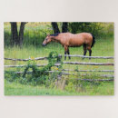 Suche nach fahrer puzzle Pferd