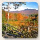 Suche nach birken untersetzer Herbst