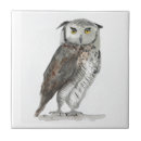 Suche nach schöne eule fliesen Wild