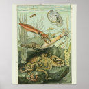 Suche nach molluske poster Vintag