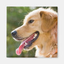 Suche nach profil magnete Hund