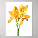 Suche nach canna poster Botanisch