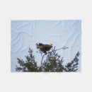 Suche nach fotografie decken Vogelvogel