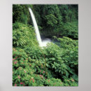 Suche nach impatiens poster Flora