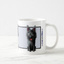 Suche nach schipperke tassen Haustiere
