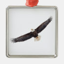 Suche nach symbolische ornamente Natur