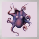 Suche nach octopus illustration poster Tintenfisch