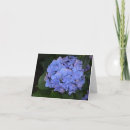 Suche nach flower power karten Vintage
