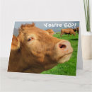 Suche nach funny cow karten Lustiger kuhgeburtstag