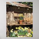 Suche nach bärn blume poster Scheune