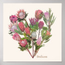 Suche nach protea poster Aquarell