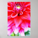 Suche nach helle blumen poster Sommer