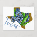 Suche nach blaue blumen postkarten Texas