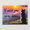 Suche nach katzengeschenke postkarten Katzenliebhaber