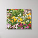 Suche nach narzisse leinwandbilder Blumen