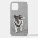 Suche nach jack russell iphone hüllen Terrier