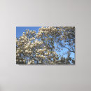Suche nach magnolien leinwandbilder Frühling